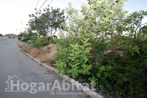 Terra a Chiva, Valencia, Chiva - € 39.900 | Ref: 040XSL-RTU40.O0-A/3716 - foto 13