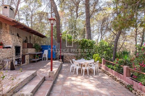 Landejendom i Benimussa, Ibiza, Benimussa - € 1.400.000 | Ref: 7664 - foto 23