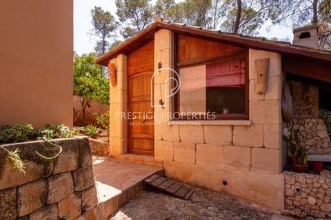 Landejendom i Benimussa, Ibiza, Benimussa - € 1.400.000 | Ref: 7664 - foto 31