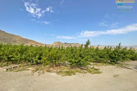 Tomt i Mazarron, Murcia, Mazarron - € 195 000 | Ref: 001102/9522 - foto 9