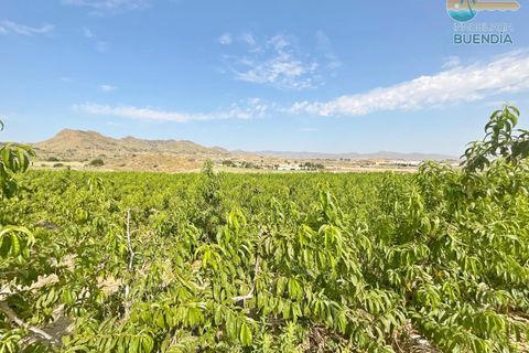 Tomt i Mazarron, Murcia, Mazarron - € 195 000 | Ref: 001102/9522 - foto 10