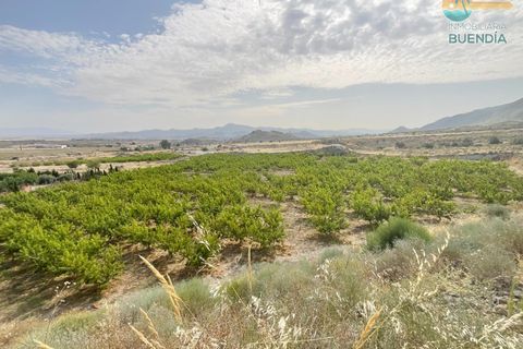 Tomt i Mazarron, Murcia, Mazarron - € 195 000 | Ref: 001102/9522 - foto 11