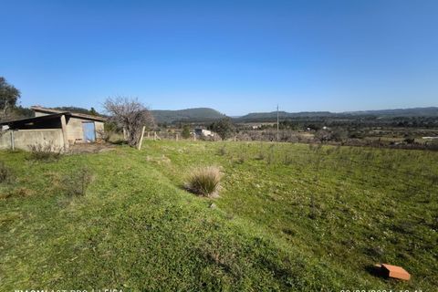 Farm i Castelo Branco, Castelo Branco, Castelo Branco - € 35.000 | Ref: MAS_237 - foto 1