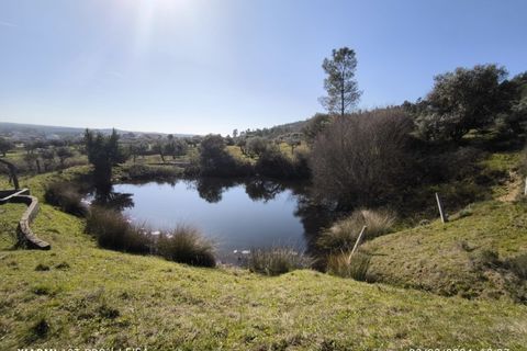 Farm i Castelo Branco, Castelo Branco, Castelo Branco - € 35.000 | Ref: MAS_237 - foto 6