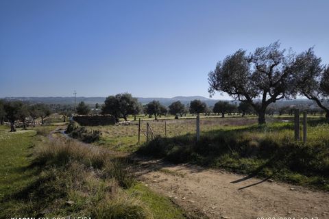 Farm i Castelo Branco, Castelo Branco, Castelo Branco - € 35.000 | Ref: MAS_237 - foto 7