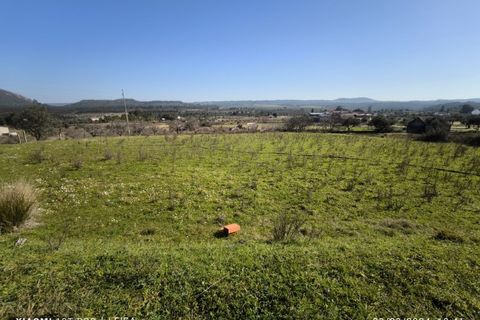 Farm i Castelo Branco, Castelo Branco, Castelo Branco - € 35.000 | Ref: MAS_237 - foto 4