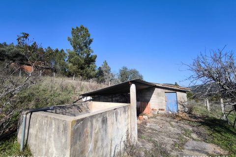 Farm i Castelo Branco, Castelo Branco, Castelo Branco - € 35.000 | Ref: MAS_237 - foto 5