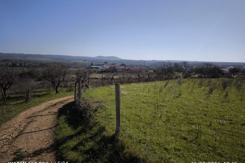 Farm i Castelo Branco, Castelo Branco, Castelo Branco - € 35.000 | Ref: MAS_237 - foto 3