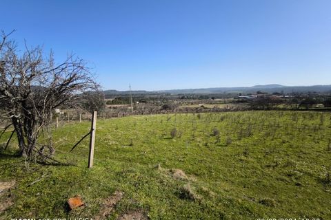 Farm i Castelo Branco, Castelo Branco, Castelo Branco - € 35.000 | Ref: MAS_237 - foto 8