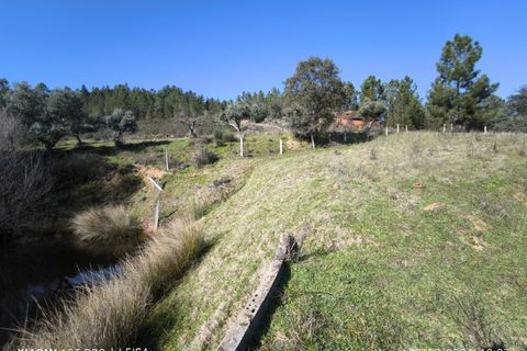 Farm i Castelo Branco, Castelo Branco, Castelo Branco - € 35.000 | Ref: MAS_237 - foto 9