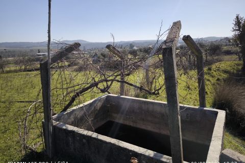 Farm i Castelo Branco, Castelo Branco, Castelo Branco - € 35.000 | Ref: MAS_237 - foto 11