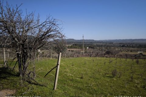 Farm i Castelo Branco, Castelo Branco, Castelo Branco - € 35.000 | Ref: MAS_237 - foto 12