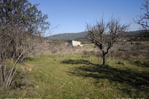 Farm i Castelo Branco, Castelo Branco, Castelo Branco - € 35.000 | Ref: MAS_237 - foto 13