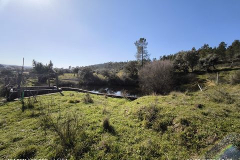 Farm i Castelo Branco, Castelo Branco, Castelo Branco - € 35.000 | Ref: MAS_237 - foto 14
