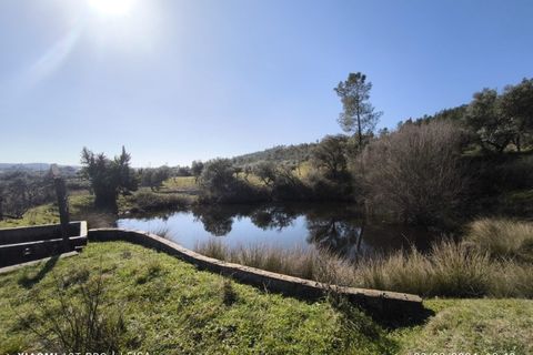 Farm i Castelo Branco, Castelo Branco, Castelo Branco - € 35.000 | Ref: MAS_237 - foto 2