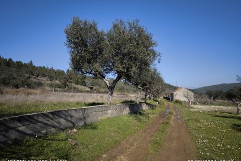 Farm i Castelo Branco, Castelo Branco, Castelo Branco - € 35.000 | Ref: MAS_237 - foto 17