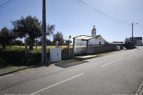 Farm i Castelo Branco, Castelo Branco, Castelo Branco - € 35.000 | Ref: MAS_237 - foto 19