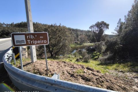 Farm i Castelo Branco, Castelo Branco, Castelo Branco - € 35.000 | Ref: MAS_237 - foto 20