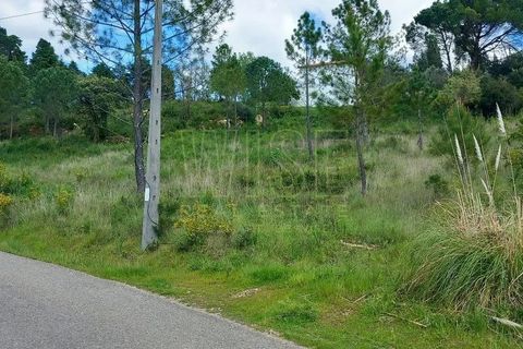 Helårsgrund i Coimbra, Coimbra, Coimbra - € 550.000 | Ref: WISECBRHC-TE1080 - foto 3
