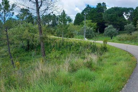 Helårsgrund i Coimbra, Coimbra, Coimbra - € 550.000 | Ref: WISECBRHC-TE1080 - foto 6