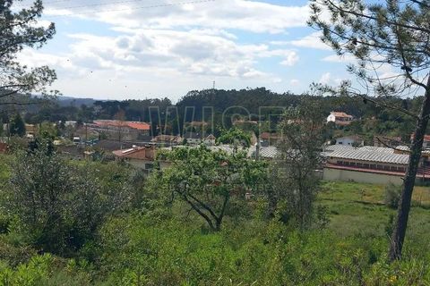 Helårsgrund i Coimbra, Coimbra, Coimbra - € 550.000 | Ref: WISECBRHC-TE1080 - foto 8