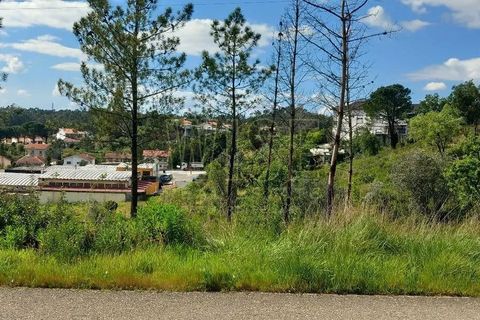 Helårsgrund i Coimbra, Coimbra, Coimbra - € 550.000 | Ref: WISECBRHC-TE1080 - foto 10