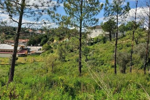 Helårsgrund i Coimbra, Coimbra, Coimbra - € 550.000 | Ref: WISECBRHC-TE1080 - foto 11