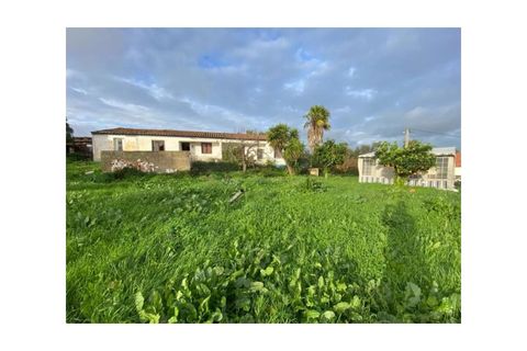 Farm i Colos, Beja, Colos - € 155.000 | Ref: 33308457 - foto 22