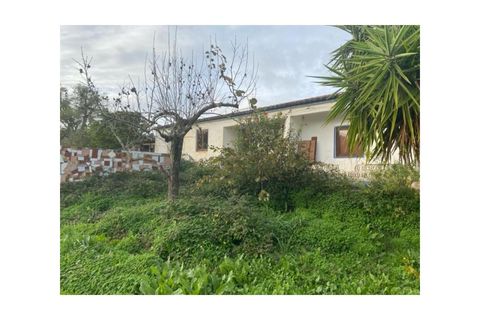 Farm i Colos, Beja, Colos - € 155.000 | Ref: 33308457 - foto 27