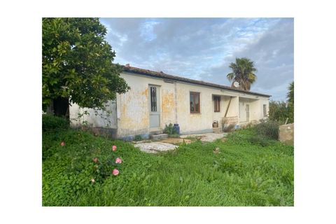 Farm i Colos, Beja, Colos - € 155.000 | Ref: 33308457 - foto 21