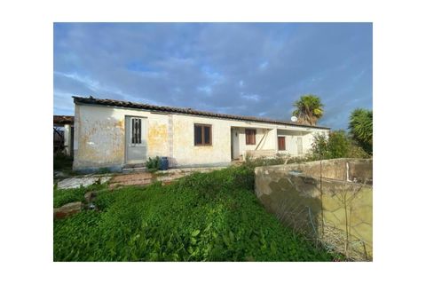 Farm i Colos, Beja, Colos - € 155.000 | Ref: 33308457 - foto 23