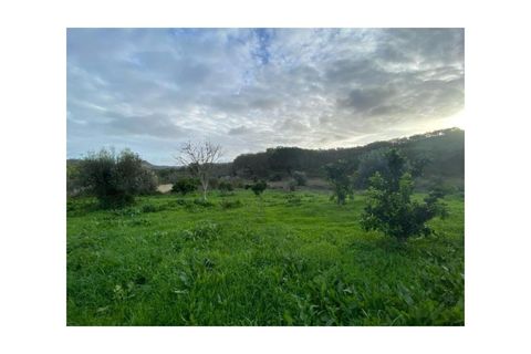 Farm i Colos, Beja, Colos - € 155.000 | Ref: 33308457 - foto 28