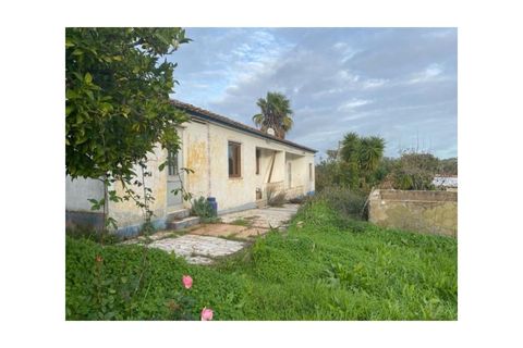 Farm i Colos, Beja, Colos - € 155.000 | Ref: 33308457 - foto 19