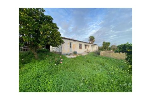 Farm i Colos, Beja, Colos - € 155.000 | Ref: 33308457 - foto 32