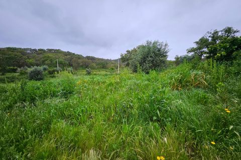 Farm i Colos, Beja, Colos - € 155.000 | Ref: 33308457 - foto 33