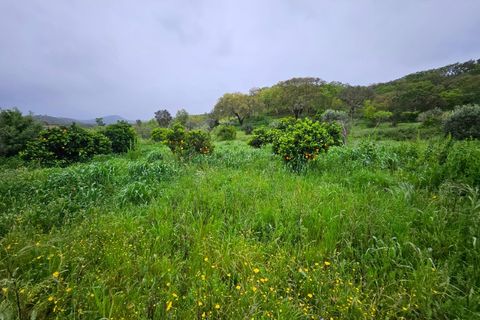 Farm i Colos, Beja, Colos - € 155.000 | Ref: 33308457 - foto 34