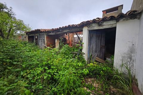 Farm i Colos, Beja, Colos - € 155.000 | Ref: 33308457 - foto 35