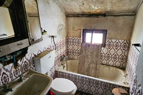 Farm i Colos, Beja, Colos - € 155.000 | Ref: 33308457 - foto 37