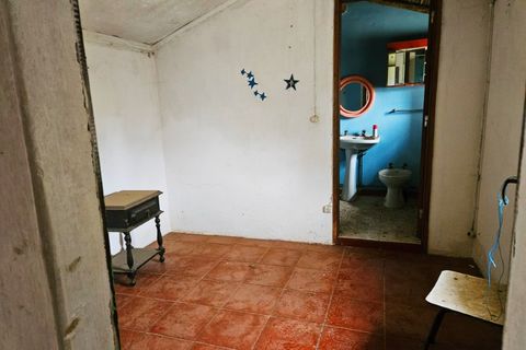 Farm i Colos, Beja, Colos - € 155.000 | Ref: 33308457 - foto 47