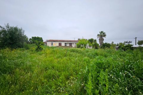 Farm i Colos, Beja, Colos - € 155.000 | Ref: 33308457 - foto 48