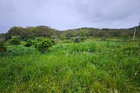 Farm i Colos, Beja, Colos - € 155.000 | Ref: 33308457 - foto 49