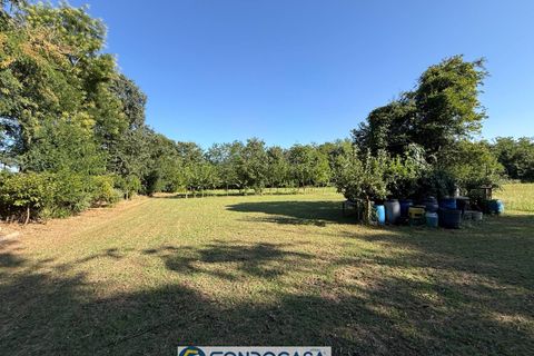 Terra a Passirano, Brescia, Passirano - € 89.900 | Ref: CFi.Ter.07 - foto 2