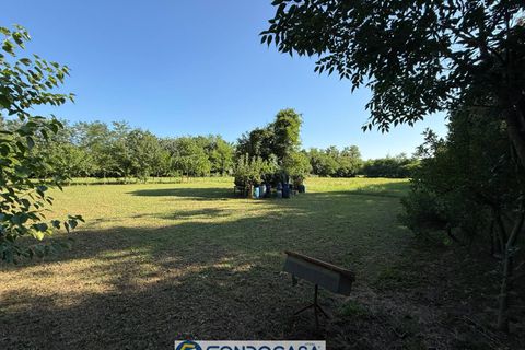 Terra a Passirano, Brescia, Passirano - € 89.900 | Ref: CFi.Ter.07 - foto 3