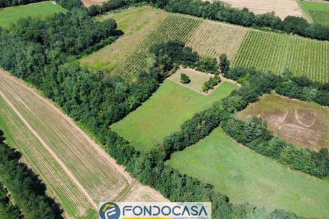 Terra a Passirano, Brescia, Passirano - € 89.900 | Ref: CFi.Ter.07 - foto 13
