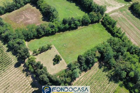 Terra a Passirano, Brescia, Passirano - € 89.900 | Ref: CFi.Ter.07 - foto 16