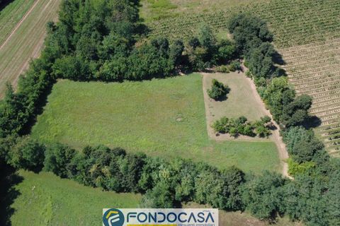 Terra a Passirano, Brescia, Passirano - € 89.900 | Ref: CFi.Ter.07 - foto 17