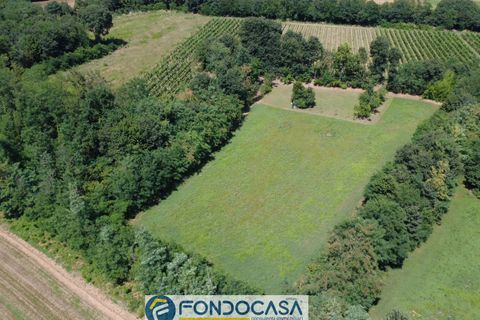 Terra a Passirano, Brescia, Passirano - € 89.900 | Ref: CFi.Ter.07 - foto 18