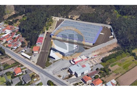 Helårsgrund i Ovar, Aveiro, Ovar - € 1.750.000 | Ref: T/0844 - foto 2
