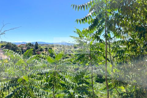 Landejendom i Morlupo, Rome, Morlupo - € 25.000 | Ref: 90222 - foto 11
