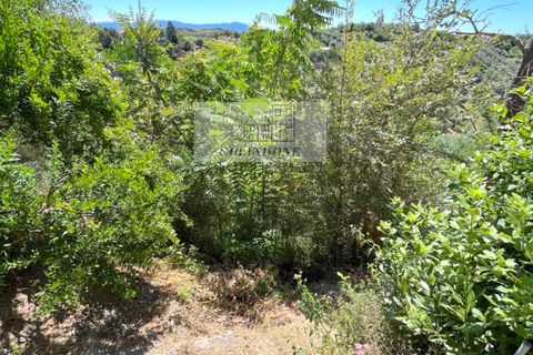 Landejendom i Morlupo, Rome, Morlupo - € 25.000 | Ref: 90222 - foto 13
